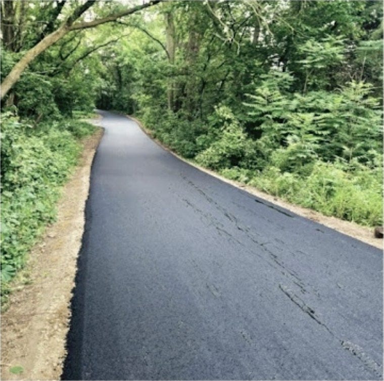 A narrow asphalt path laid through heavy green timber.
